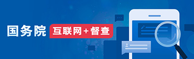 國務(wù)院 互聯(lián)網(wǎng)+督查